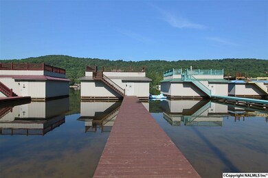 1900 White Elephant Rd, Grant, AL 35747 - photo 7