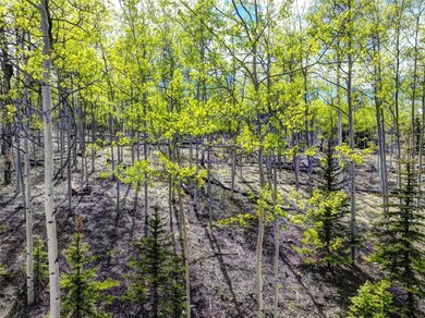 View of local wilderness