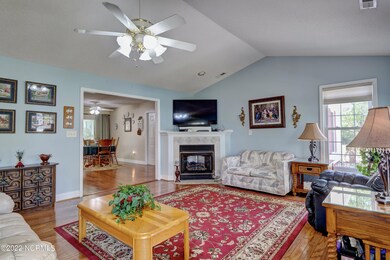 Vaulted Ceilings