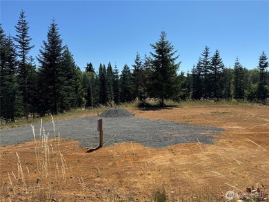 143 Homer Ln, Chehalis, WA 98532 - photo 3