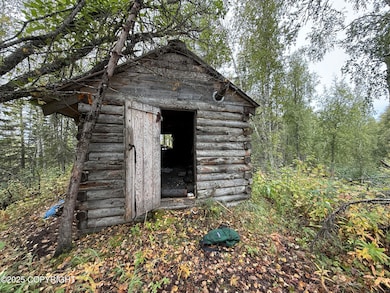 A1 E Kashwitna Lake Area, Willow, AK 99688 - photo 4