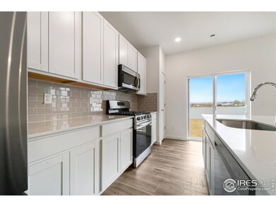 3809 Rhoadarmer Way, Evans, CO 80620 - photo 3