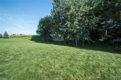 Large back yard.