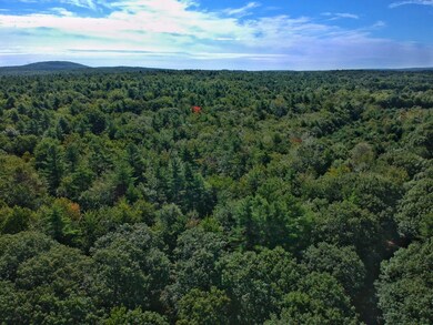 0 Lombard Rd, Hubbardston, MA 01452 - photo 4