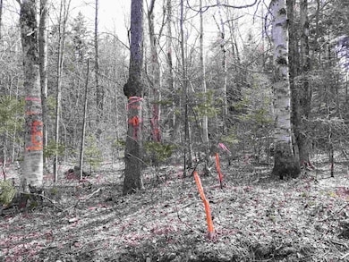 0 W Hill Dr unit 4798227, Readsboro, VT 05350 - photo 5