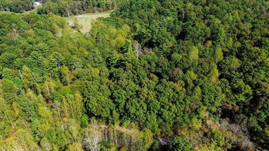 3468 Fir Ln, Ellijay, GA 30540 - photo 6