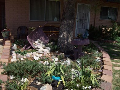 Nicely landscaped front yard
