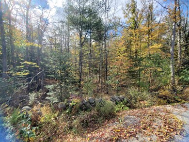 0 Windsor Rd unit 9 4887482, Hillsborough, NH 03244 - photo 6