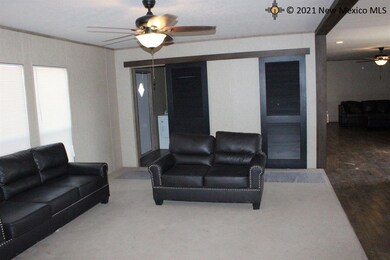 4206 Willow St, Carlsbad, NM 88220 - photo 4