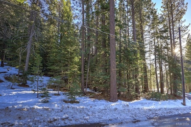 1346 Thunderbird Dr, South Lake Tahoe, CA 96150 - photo 6