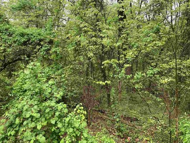 0 Whispering Ln unit 603383, Stanley, VA 22851 - photo 2