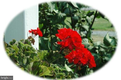 37489 E A St, Purcellville, VA 20132 - photo 6