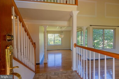 11600 Happy Choice Ln, North Potomac, MD 20878 - photo 3