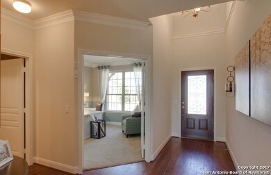 10810 Tansy Canyon, Helotes, TX 78023 - photo 7