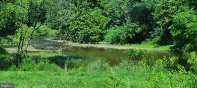 Lot 37 Amulet Cir, Berkeley Springs, WV 25411 - photo 6