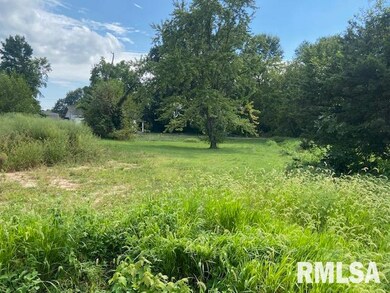 802 Joplin St, Benton, IL 62812 - photo 5