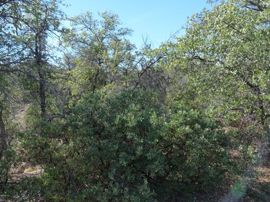 Cody Loop 011