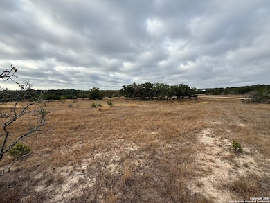 1629 Canyon Curve, Spring Branch, TX 78070 - photo 4