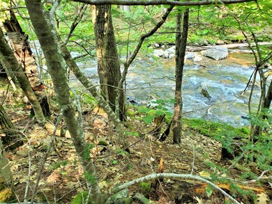 365 & 370 Pine Hill Rd, Ossipee, NH 03814 - photo 5