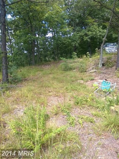 0 Bald Eagle Ln unit 1003177570, Great Cacapon, WV 25422 - photo 7