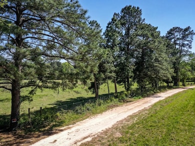 0 Black Jack Cemetery Rd, Huntsville, TX 77340 - photo 4
