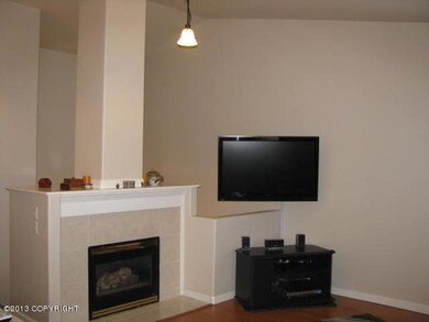fireplace and TV