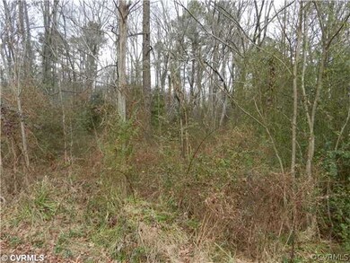 12514 Verdon Rd, Doswell, VA 23047 - photo 2