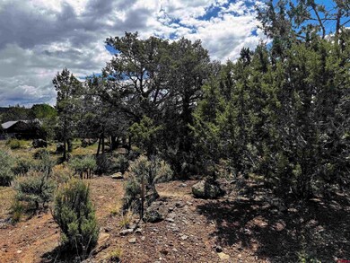 Lot 10 NE Ginters Grove Ln, Cedaredge, CO 81413 - photo 6