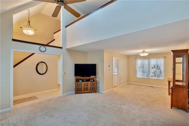 10397 W Cobblestone Ln, Twinsburg, OH 44087 - photo 5