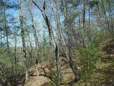 16 Carr Dr unit LOT 6, Leicester, NC 28748 - photo 2