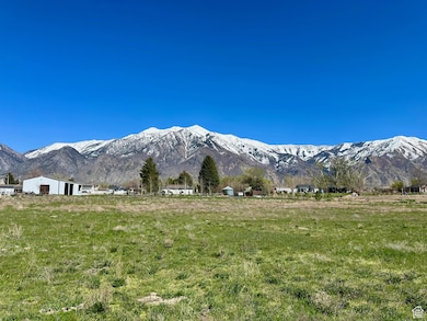 200 S 200 W, Mona, UT 84645 - photo 4