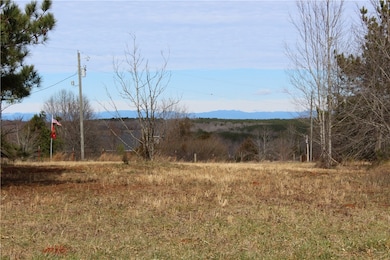 44 ac Olden Porter Rd, Pendleton, SC 29670 - photo 4