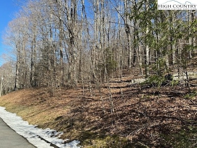 6 Meadow Ave, Banner Elk, NC 28604 - photo 2