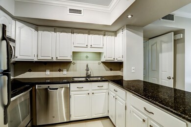 Gorgeous stone counters, stainless steel appliance