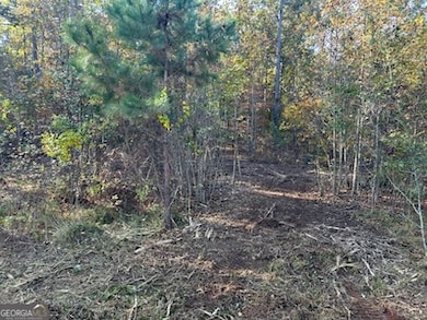 Back of the lot. Cleared trail.