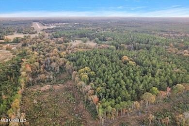 unlisted-address, Mendenhall, MS 39114 - photo 7