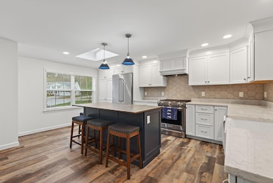 Large island with Dekton counter