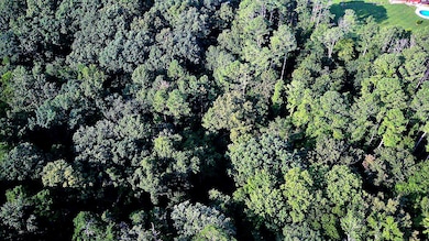 1343 Thrasher Pike, Hixson, TN 37343 - photo 3