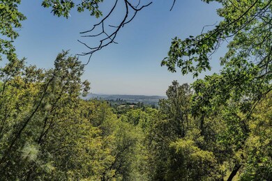 13771 West Ct, Pine Grove, CA 95665 - photo 7