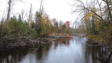 N7799 Marshal Ln, Lily, WI 54491 - photo 4