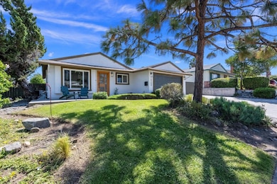 10209 Maple Tree Rd, Santee, CA 92071 - photo 3