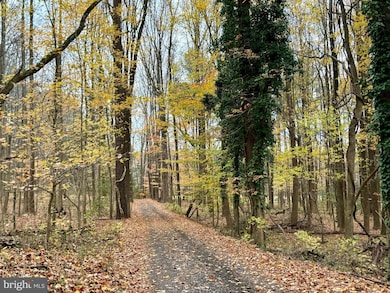 49465 Demko Rd, Lexington Park, MD 20653 - photo 3