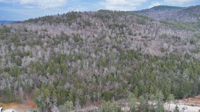 00 Vermont Route 100, Jamaica, VT 05343 - photo 4