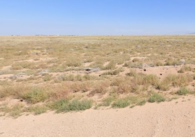 0 Somerset unit 25572948, Blanca, CO 81123 - photo 7