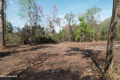 7404 Myrtle Grove, Wilmington, NC 28409 - photo 2