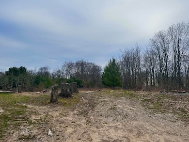 VL E 2nd St, Scottville, MI 49454 - photo 3