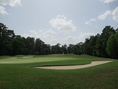 32511 Pebble Bend Way, Magnolia, TX 77354 - photo 6