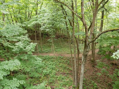 Woods