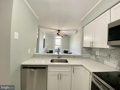 13846 Carter House Way, Silver Spring, MD 20904 - photo 5