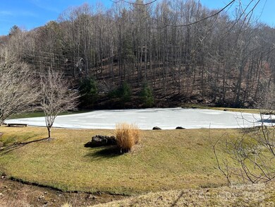 Wolf Laurel community pond